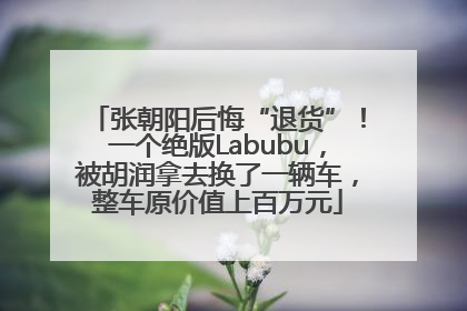张朝阳后悔“退货”！一个绝版Labubu，被胡润拿去换了一辆车，整车原价值上百万元