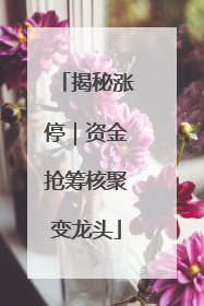 揭秘涨停｜资金抢筹核聚变龙头