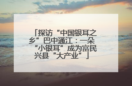 探访“中国银耳之乡”巴中通江：一朵“小银耳”成为富民兴县“大产业”