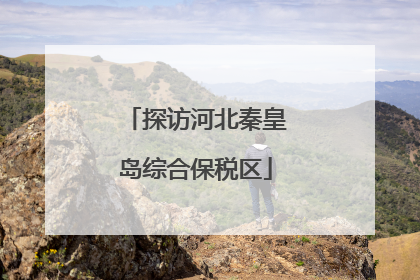 探访河北秦皇岛综合保税区