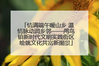 情满端午暖山乡 温情脉动润乡邻——鸬鸟镇新时代文明实践街区绘就文化共富新图景