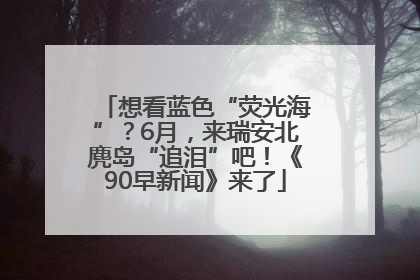 想看蓝色“荧光海”？6月，来瑞安北麂岛“追泪”吧！《90早新闻》来了