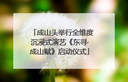 成山头举行全维度沉浸式演艺《东寻·成山赋》启动仪式