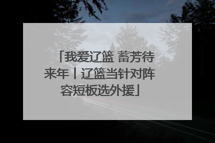 我爱辽篮 蓄芳待来年丨辽篮当针对阵容短板选外援