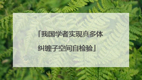 我国学者实现真多体纠缠子空间自检验
