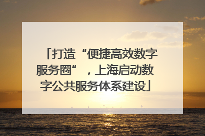 打造“便捷高效数字服务圈”，上海启动数字公共服务体系建设