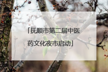 抚顺市第二届中医药文化夜市启动