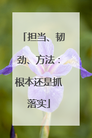 担当、韧劲、方法：根本还是抓落实