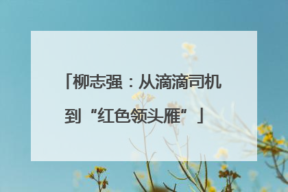柳志强：从滴滴司机到“红色领头雁”