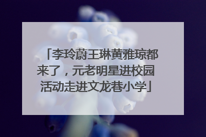 李玲蔚王琳黄雅琼都来了，元老明星进校园活动走进文龙巷小学