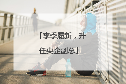 李季履新，升任央企副总