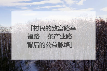 村民的致富路幸福路 一条产业路背后的公益脉络