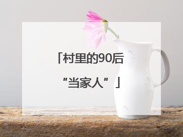 村里的90后“当家人”