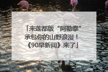来莲都版“阿勒泰” 承包你的山野浪漫！《90早新闻》来了