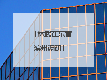林武在东营滨州调研
