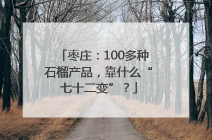 枣庄：100多种石榴产品，靠什么“七十二变”？