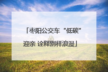 枣阳公交车“低碳”迎亲 诠释别样浪漫