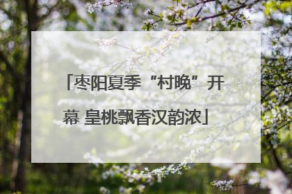 枣阳夏季“村晚”开幕 皇桃飘香汉韵浓
