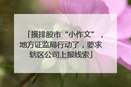 摸排股市“小作文”，地方证监局行动了，要求辖区公司上报线索