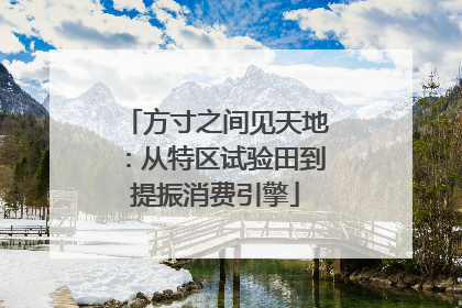 方寸之间见天地：从特区试验田到提振消费引擎