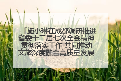 施小琳在成都调研推进省委十二届七次全会精神贯彻落实工作 共同推动文旅深度融合高质量发展 加快打造支柱产业民生产业幸福产业