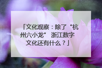 文化观察：除了“杭州六小龙” 浙江数字文化还有什么？