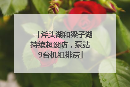 斧头湖和梁子湖持续超设防，泵站9台机组排涝