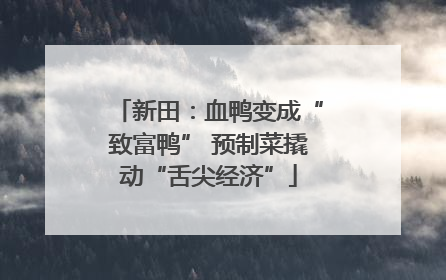 新田：血鸭变成“致富鸭” 预制菜撬动“舌尖经济”