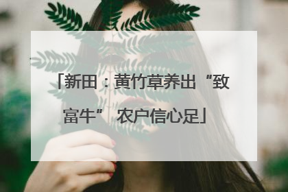 新田：黄竹草养出“致富牛” 农户信心足