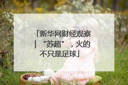 新华网财经观察｜“苏超”，火的不只是足球