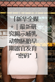 新华全媒+｜最新研究揭示哺乳动物胚胎早期器官发育“密码”