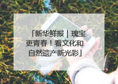 新华鲜报｜瑰宝更青春！看文化和自然遗产新光彩