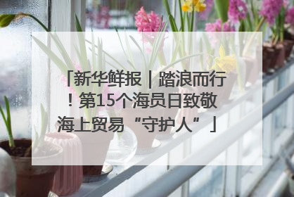 新华鲜报｜踏浪而行！第15个海员日致敬海上贸易“守护人”