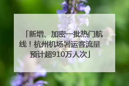 新增、加密一批热门航线！杭州机场暑运客流量预计超910万人次