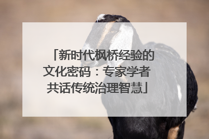 新时代枫桥经验的文化密码：专家学者共话传统治理智慧