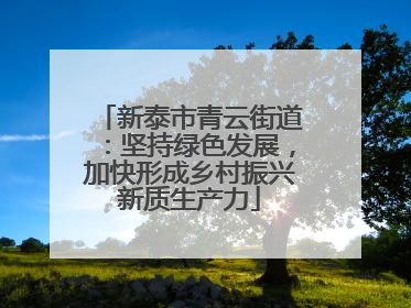 新泰市青云街道：坚持绿色发展，加快形成乡村振兴新质生产力