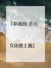 新视角 多元文化壁上观