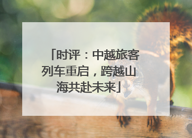 时评：中越旅客列车重启，跨越山海共赴未来