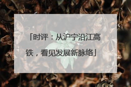 时评：从沪宁沿江高铁，看见发展新脉络
