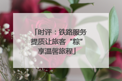时评：铁路服务提质让旅客“粽”享温馨旅程
