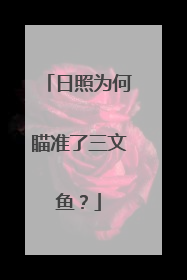 日照为何瞄准了三文鱼？