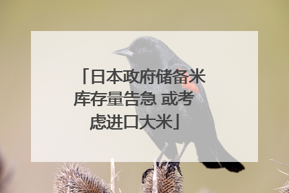 日本政府储备米库存量告急 或考虑进口大米