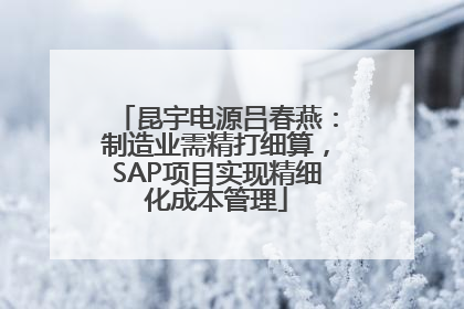 昆宇电源吕春燕：制造业需精打细算，SAP项目实现精细化成本管理