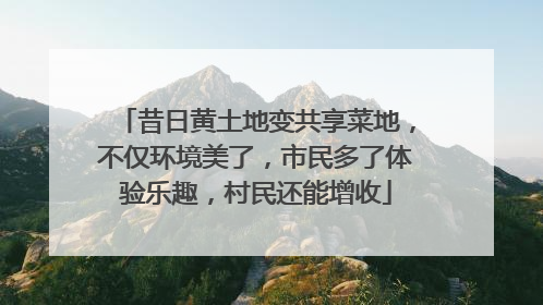 昔日黄土地变共享菜地，不仅环境美了，市民多了体验乐趣，村民还能增收