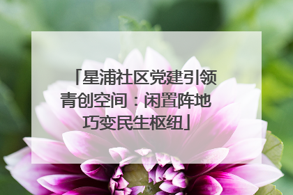 星浦社区党建引领青创空间：闲置阵地巧变民生枢纽