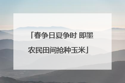 春争日夏争时 即墨农民田间抢种玉米