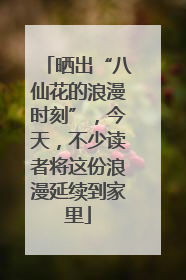 晒出“八仙花的浪漫时刻”，今天，不少读者将这份浪漫延续到家里
