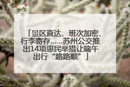 景区直达、班次加密、行李寄存……苏州公交推出14项惠民举措让端午出行“路路顺”