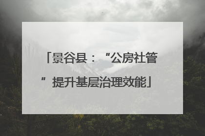景谷县：“公房社管”提升基层治理效能