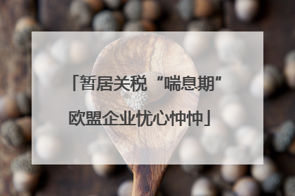 暂居关税“喘息期” 欧盟企业忧心忡忡